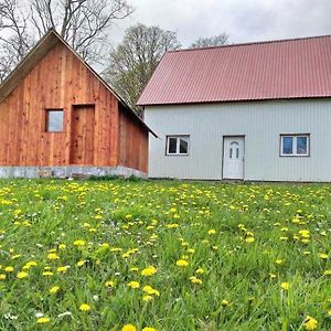 Gasthaus Domacinstvo Krstajic - Rural Holiday Žabljak Exterior photo