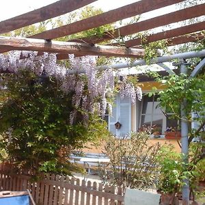 Bed and Breakfast Lavanda E Rosmarino Sandigliano Exterior photo