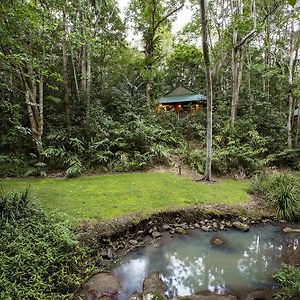 Villa Narrows Escape Rainforest Retreat Montville Exterior photo