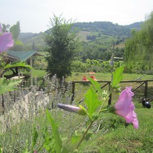 Villa Le Spighe Agriturismo Cesena Exterior photo