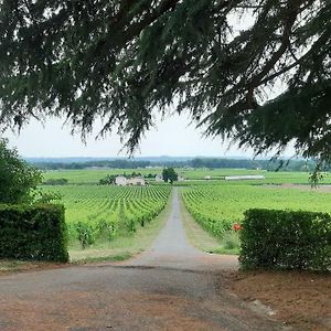 Bed and Breakfast A L'OMBRE DE LA TREILLE -Proche Saint-Emilion Exterior photo