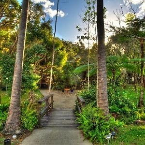 Broken River Mountain Resort Eungella Exterior photo