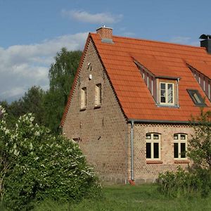 Ferienwohnung Ferienhaus Amalienhof Boek Exterior photo