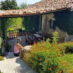 Hotel Old House Nilovic Livari Exterior photo