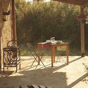 Bed and Breakfast Tenuta Cerreto Torre Orsaia Exterior photo