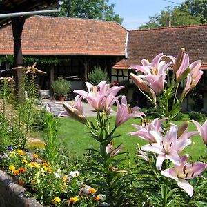 Ferienwohnung Le Gite Des Ecureuils Schalkendorf Exterior photo