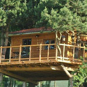 L'Etournelle - Cabane Perchee Chaussan Exterior photo