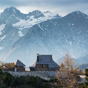 Villa Koca Ojstrica - Velika Planina Stahovica Exterior photo