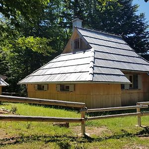 Villa Koca Predilnica Velika Planina Kamniska Bistrica Exterior photo