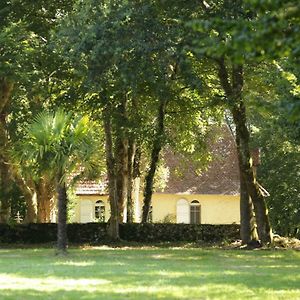 Villa La Chapelle Du Chateau Gite Pouillon Exterior photo