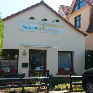 Hotel Pension am Burgwall Wißmar Exterior photo