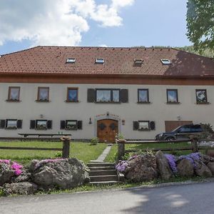 Villa Turisticna Kmetija Toman Gornji Grad Exterior photo