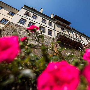 Ferienwohnung Penzion Satlava Nové Město nad Metují Exterior photo