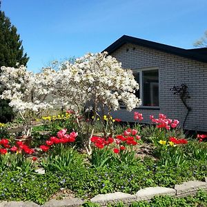 Mini-Apartment In The Flowerbed Søborg Exterior photo