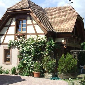 Villa Gite Les Cerisiers Triembach-au-Val Exterior photo