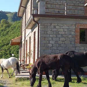 Villa Agriturismo Il Capitano Floresta Exterior photo