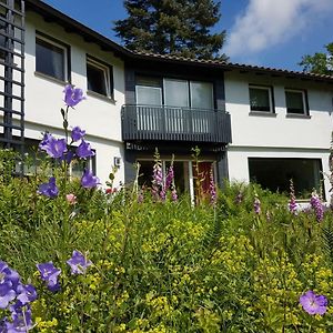 Ferienwohnung Haus am Park Stadtallendorf Exterior photo