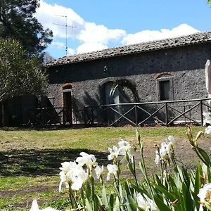 Villa Poggio Roseto Randazzo Exterior photo