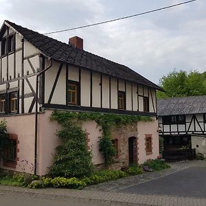 Villa Hommes Haus Herschbroich Exterior photo