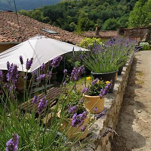 Villa Gite De Charme Ganac Exterior photo