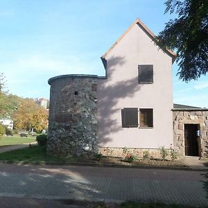 Villa Ferienhaus Kyffhäuser Bad Frankenhausen/Kyffhäuser Exterior photo