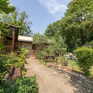 Riverhouse Lodge Upwey Exterior photo