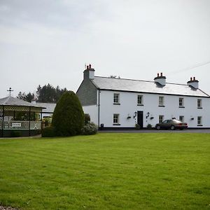 Bed and Breakfast Cartron House Ballinakill  Exterior photo