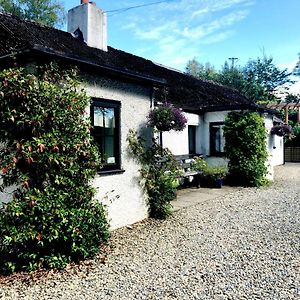 Villa The Wicklow Escape (Adults Only) Donard Exterior photo