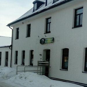 Hotel Reiterhof&Pension Lienemann Grünbach Exterior photo