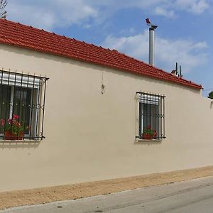 Ideal Family House With Big Yard In Ialysos, Rhodes Exterior photo