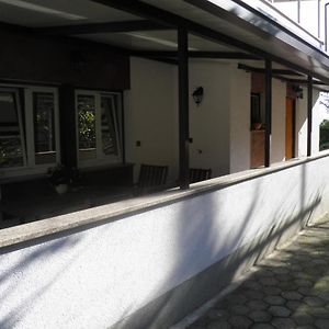 Apartments Dario Mošćenička Draga Exterior photo