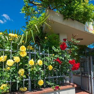 Bed and Breakfast Bed&Breakfast Profumo D'Estate Agliana Exterior photo