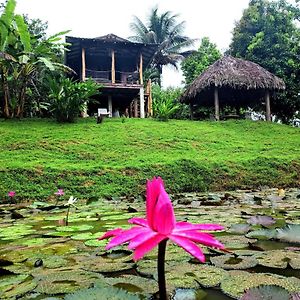 Gasthaus Bluff Hidden Paradise Bocas del Toro Exterior photo