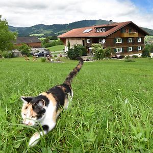 Bed and Breakfast Familienbauernhof Köss Egg Exterior photo