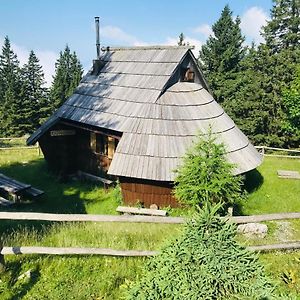 Villa Chalet Gasparjeva Velika Planina Kamnik Exterior photo