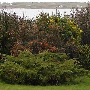 Bed and Breakfast Drom Caoin Belmullet Exterior photo