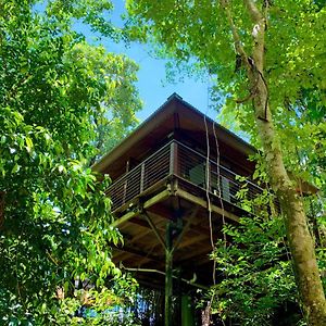 Hotel Cairns Rainforest Retreat Exterior photo