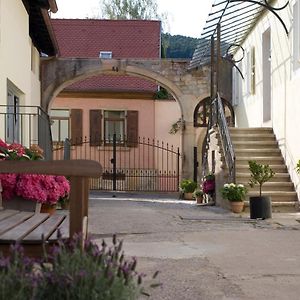 Hotel Netts Landhaus Neustadt an der Weinstraße Exterior photo