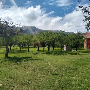 Cabanas Chacras Del Arroyo Vidal Carpintería Exterior photo