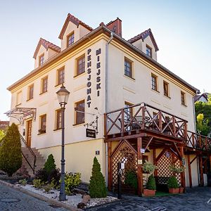 Bed and Breakfast Pensjonat Miejski Zgorzelec Exterior photo