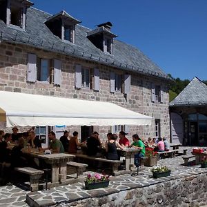 Bed and Breakfast Ferme De Trielle Thiézac Exterior photo